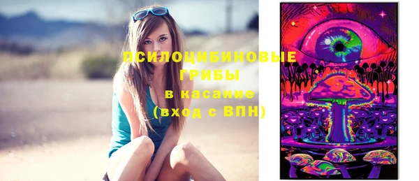 spice Баксан