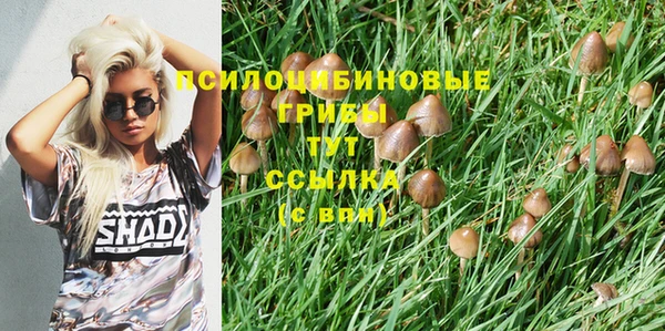 spice Баксан