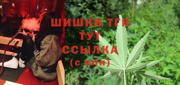 гидра Балахна