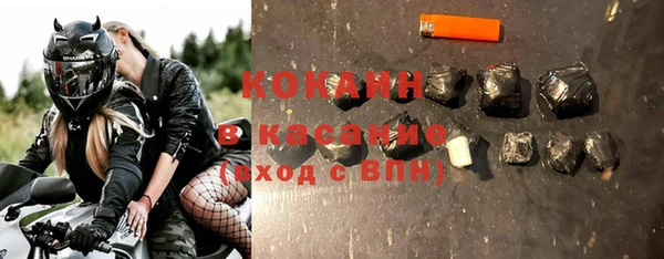 индика Белокуриха
