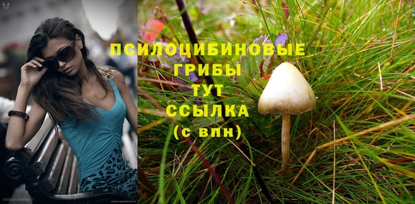 гидра Балахна
