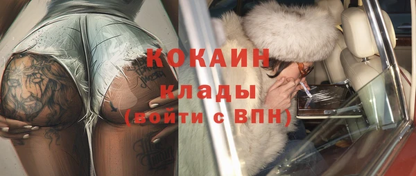 индика Белокуриха