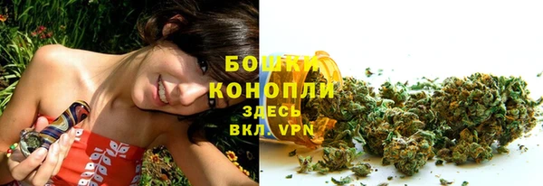 индика Белокуриха
